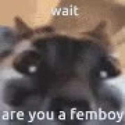 Me after seeing a male countryhuman in a maid costume/any female clothes