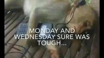 happe fonky monkey Friday r/OneyPlays