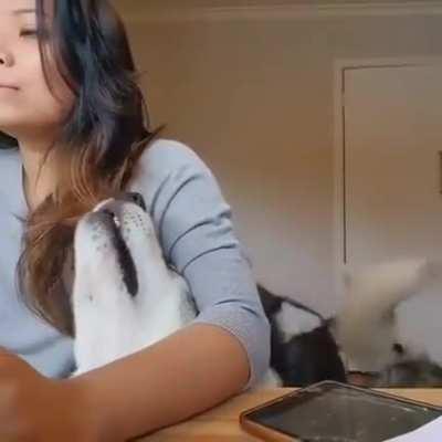 It's time to play ! Mom