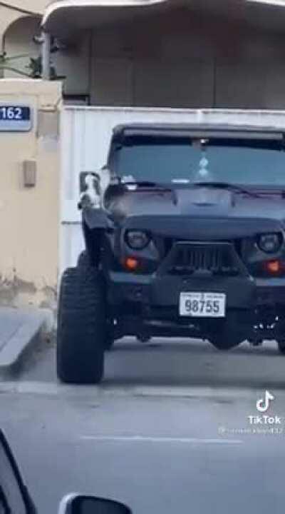 Startled but still curious