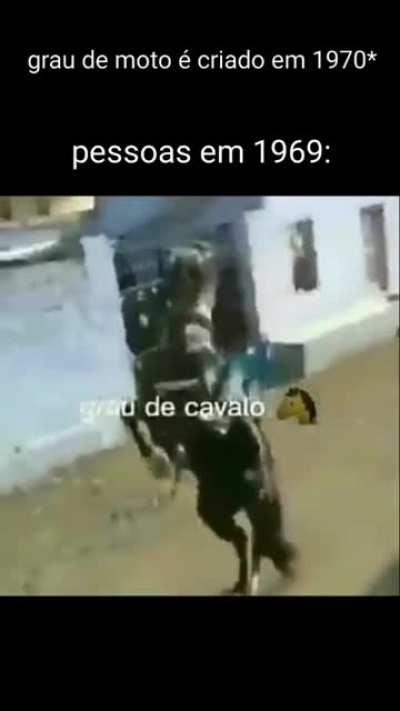 grau apenas 🥶🥶🐴