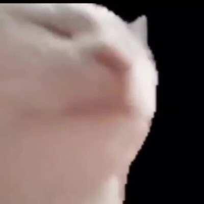 Flat Zone 2 is underated