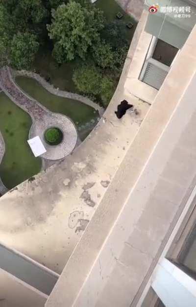 Real-life claw machine!!!