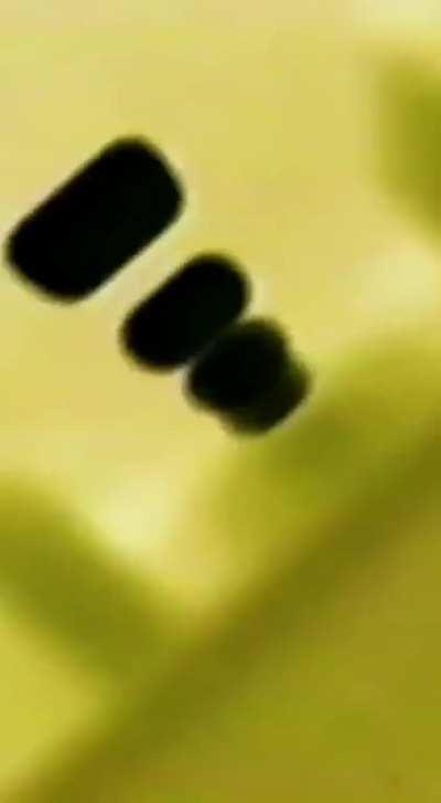 MAIN MERCUN AT 3AM (GONE WRONG) 😱😱😱