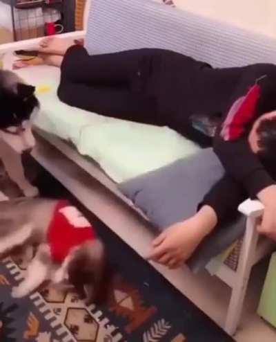 Agora é a minha vez!