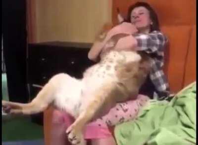 Büyük flopçu 💖