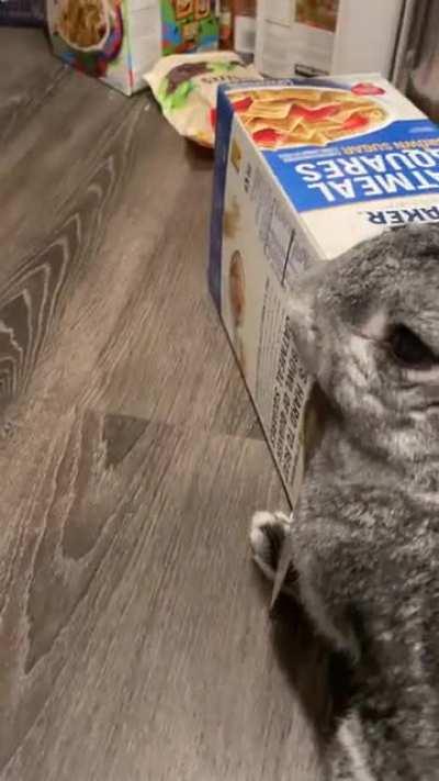 Looks like someone got into the pantry again (I only let him get away with a few Oatmeal Squares 😊)