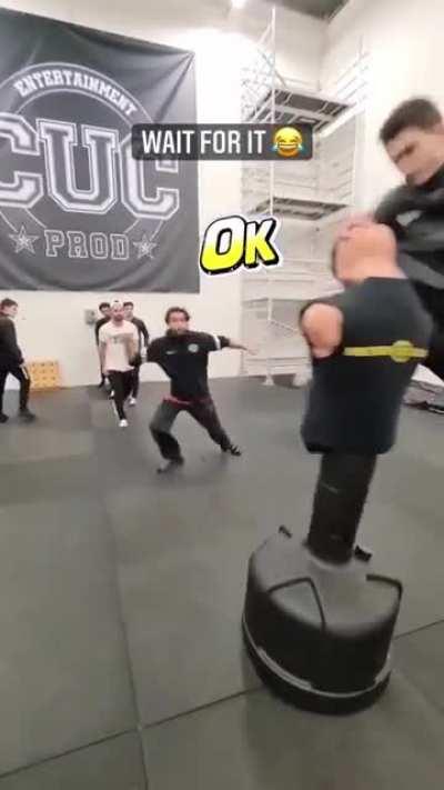 Finally figured out how to use an editor and edited this to be a bit more M&L themed