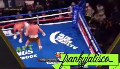 Saludos a... La mimosa...