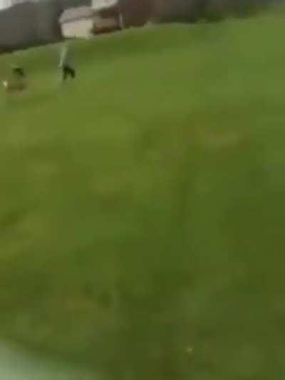 Deer tries to mate with a girl