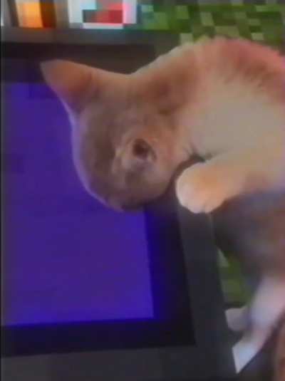 Miiriri otgot deefiii €££€><><}{}{}][][][][