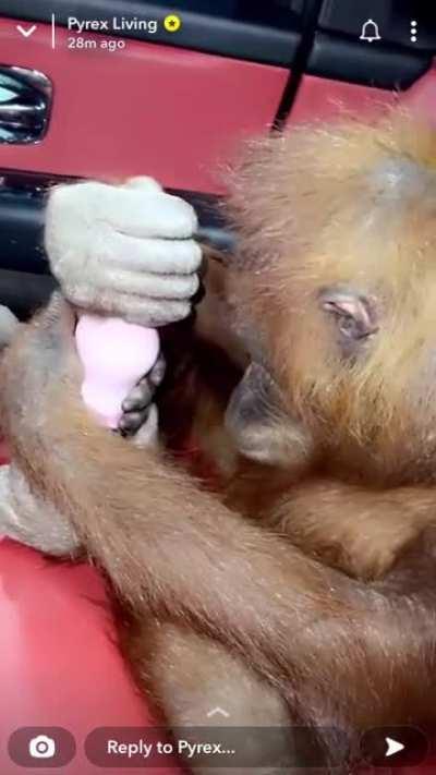 CGM recruit a new younger