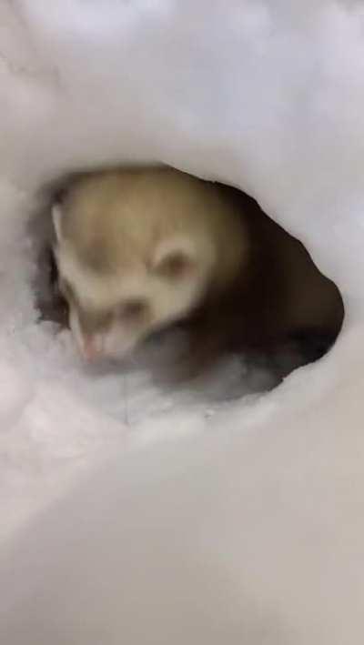 Having the time of her life!