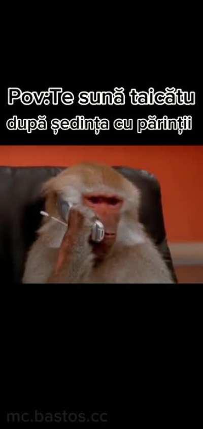 Postare sponsorizatÄ de mc.bastos.cc