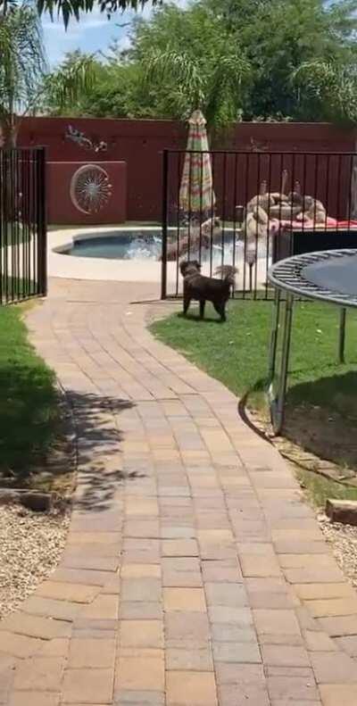 КУПАТЬСЯЯЯ!!