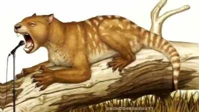 An oddly specific request