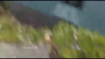 Asdig kevin. Meme not mine creator russelatte memes