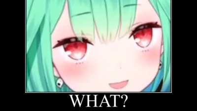 See you later, Alligator