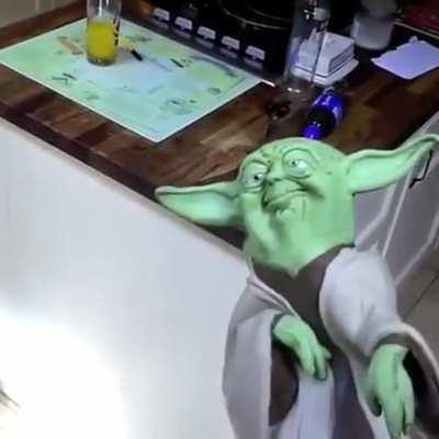 No slapping Yoda