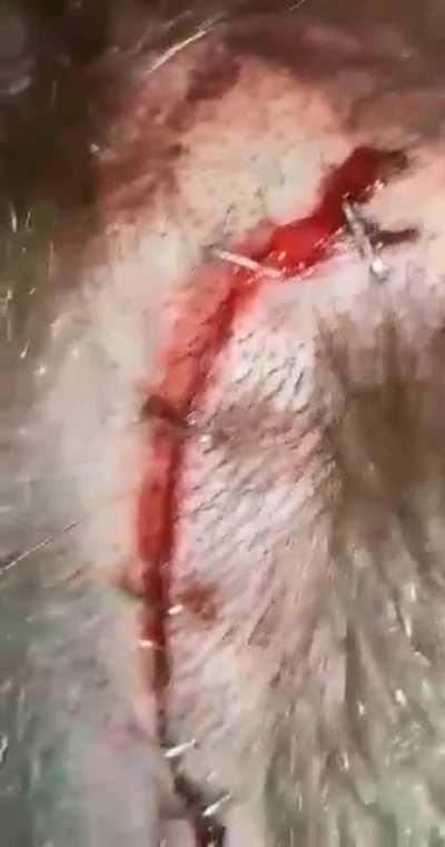 Hatchet head - had to hurt