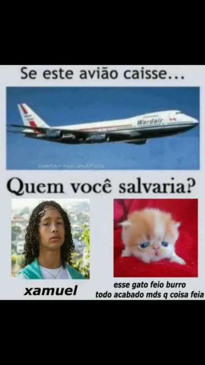 ShitpostBR - Video #8941