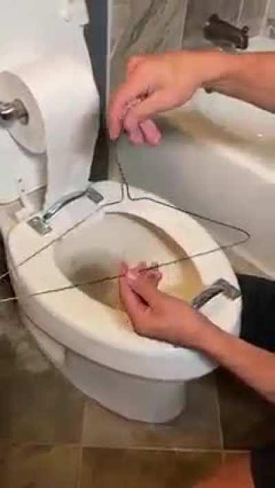 Why is it always toilet seat?