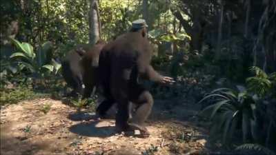 Me and the Vanars, Ayodhya