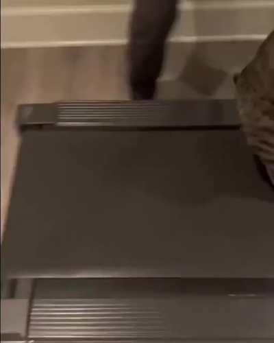 I will begin my physical change, because I no longer get tired