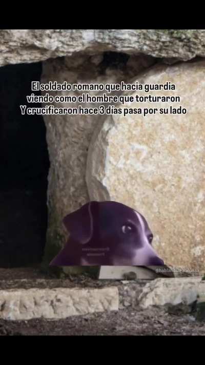 resucitó