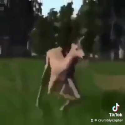 I’m 15 and this is yeet