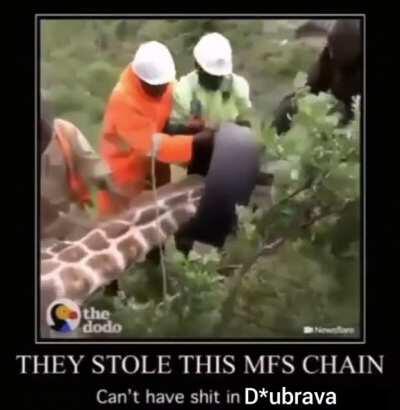 Nemožeš imat sr*anje u D*ubravi