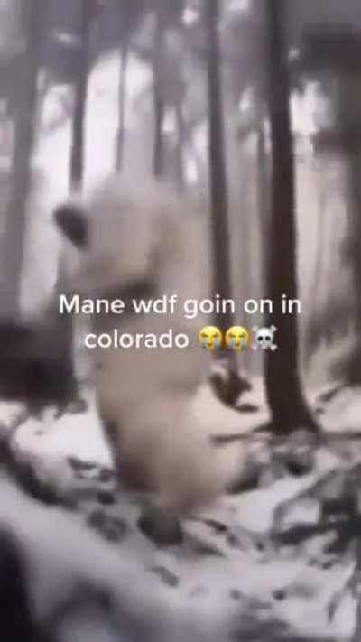 Y’all stay safe out there in Colorado 🙏💯