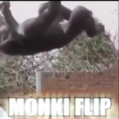 Monke dieded from being too awesome 🔥🔥🔥