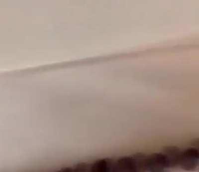 Sari Wangi Supremacy