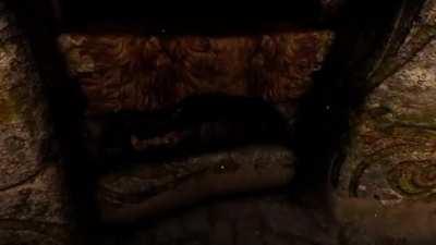 Damn, they restock those shelves quick..