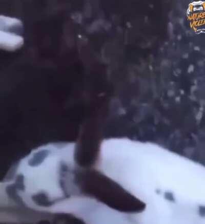 this just ain’t right