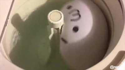 YO YO QUICK QUESTION DOES ANYONE HAVE THE FULL LIST OF SONGS PLAYED IN RAID-HOLIDAY??