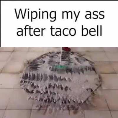 why is the carpet wiping its ass is it stupid ?