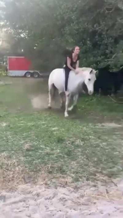 The comedic timing of the horse is amazing.