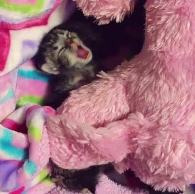 Has received a lifetime sentence of living with me.