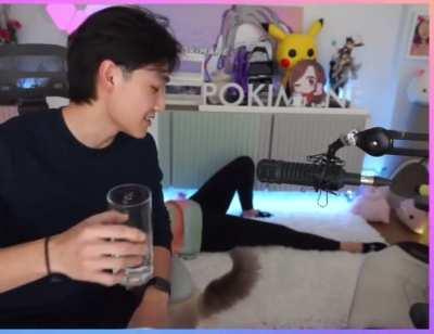 From today’s stream