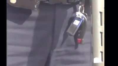 Police draw guns on stormtrooper with fake blaster. Insane indeed, what are your thoughts?