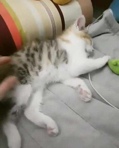 Cat's battery is dead.