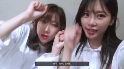 Excited JiU and Handong