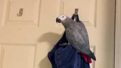 Simon being silly this morning