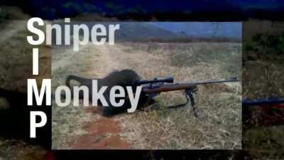 I’m 15 and this is yeet