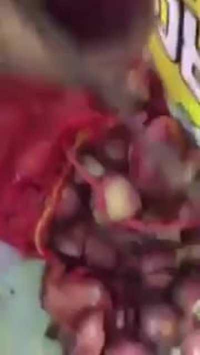 Saudi Arabia: Drugs trafficked in onions 🧅