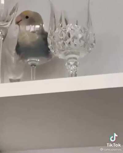 Is this a way to party?