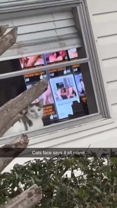 I think he's traumatized 