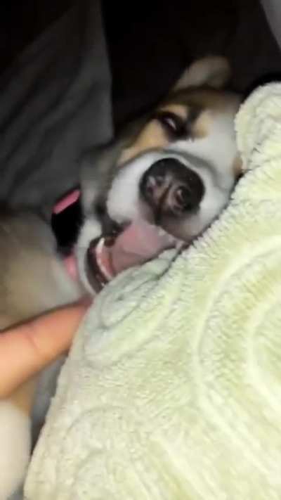 Bro got bills to pay tomorrow morning